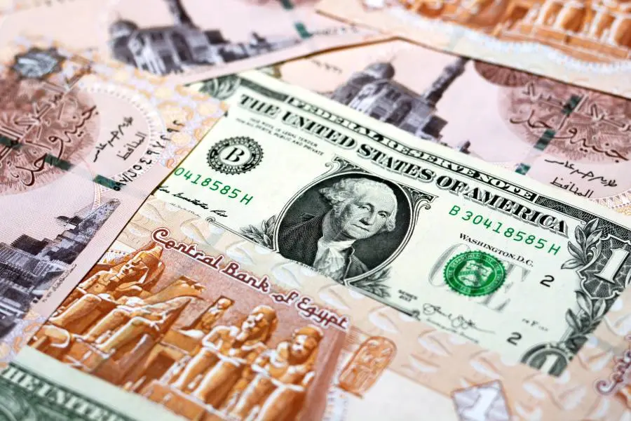 سعر الدولار مقابل الجنيه المصري