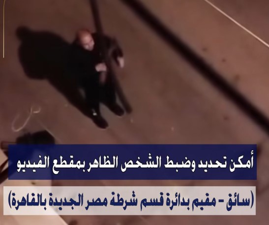 فيديو ضرب كلب بخرطوش في مصر الجديدة