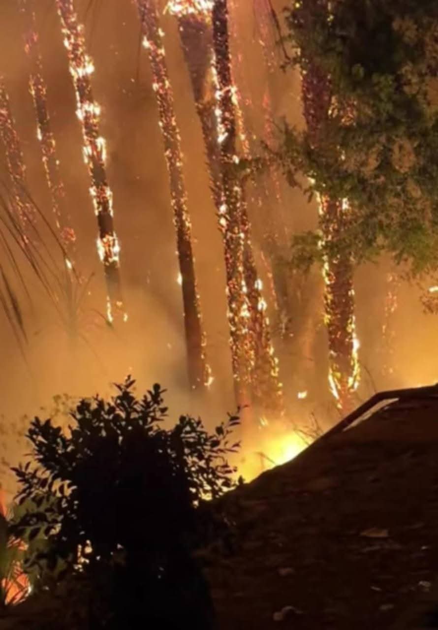 حريق كورنيش المعادي