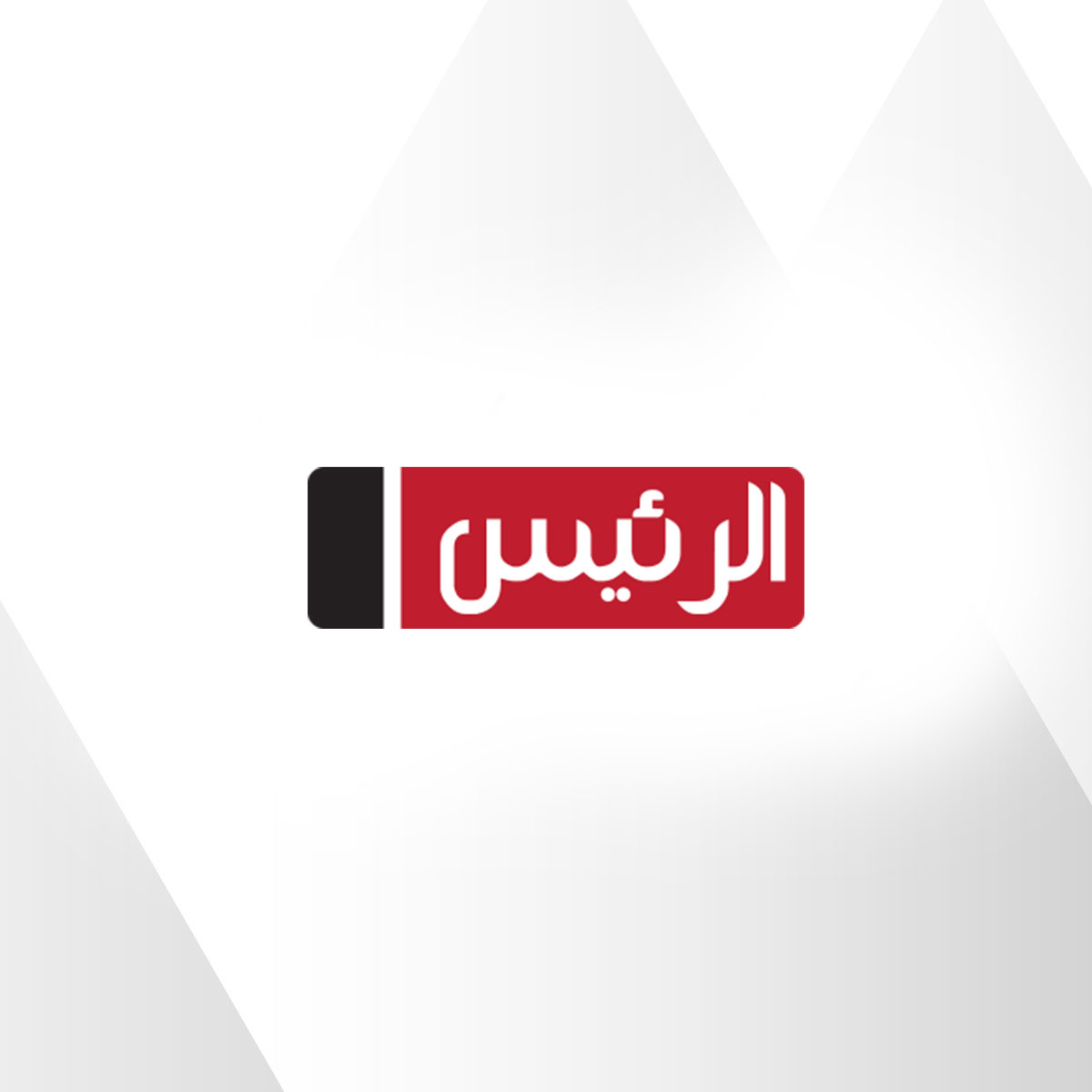 النائب إيهاب منصور وكيل لجنة القوى العاملة بمجلس النواب    